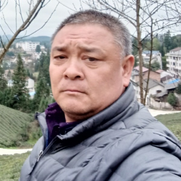 篮球苦恋欣喜的照片