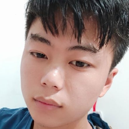 阳光吃醋长颈鹿的照片
