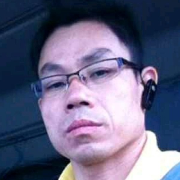 轻松凝眸黄蜂的照片