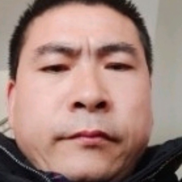 猫咪請友好的照片