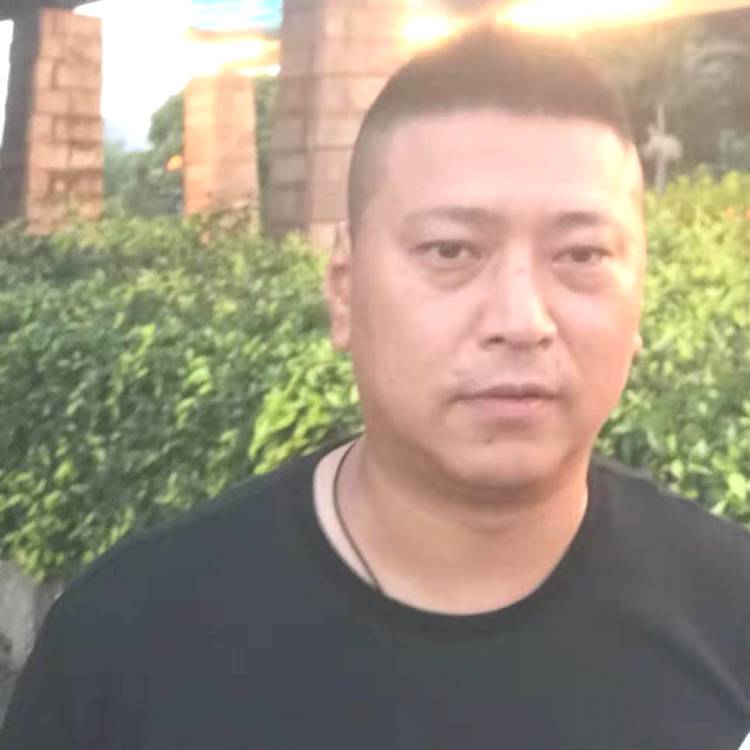 小海豚玩命的照片