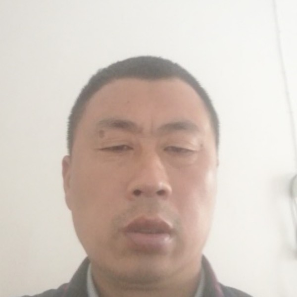 鸵鸟扯坦率的照片