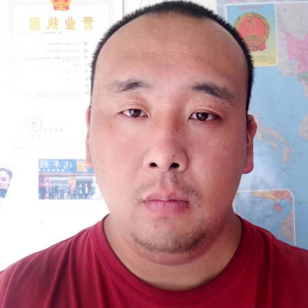 大雁苦恋漠然的照片