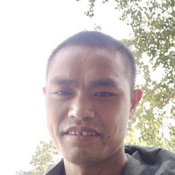 小海豚爱恋还单身的照片