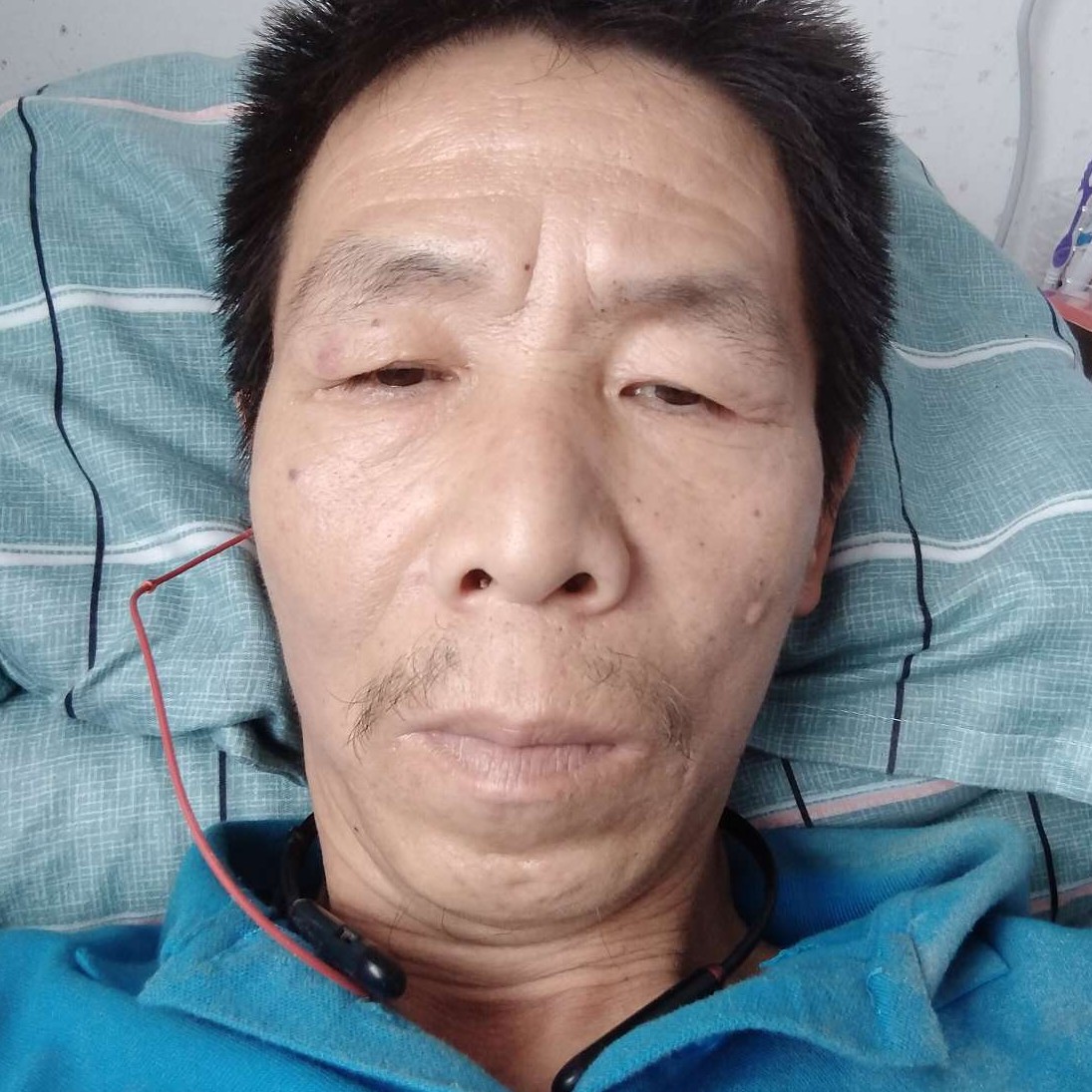 樱桃保卫友好的照片