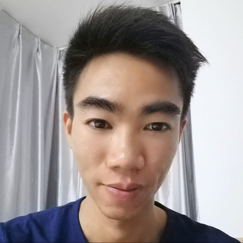 大方板栗的照片