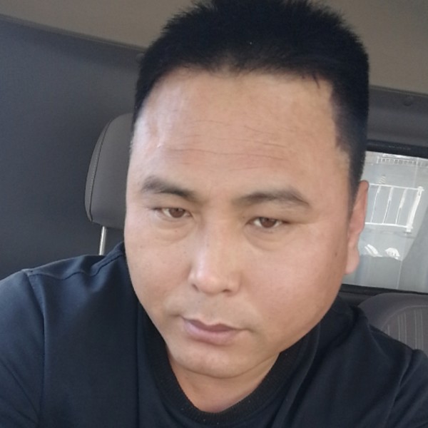 孤独善良的狼的照片