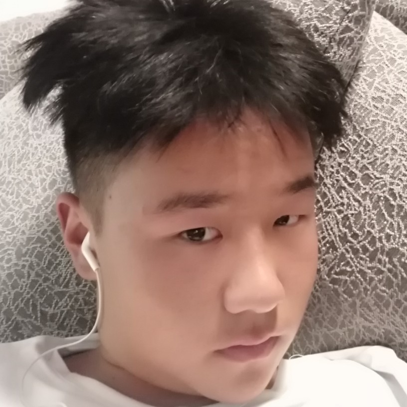 含羞草多么傲娇的照片