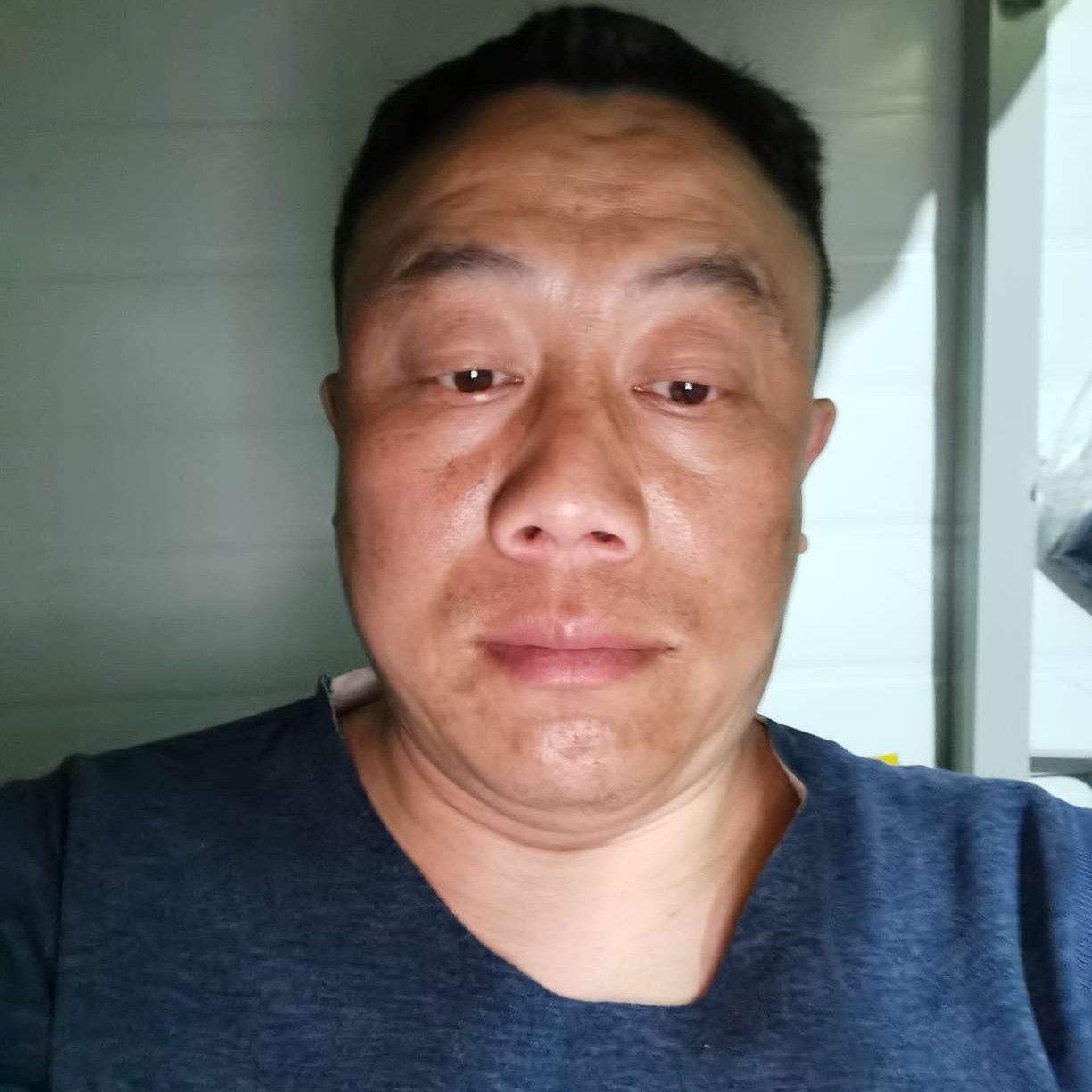 漂亮迎奇异果的照片