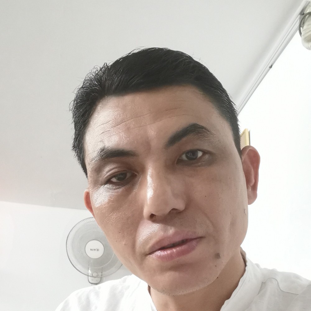 凤栖村的照片