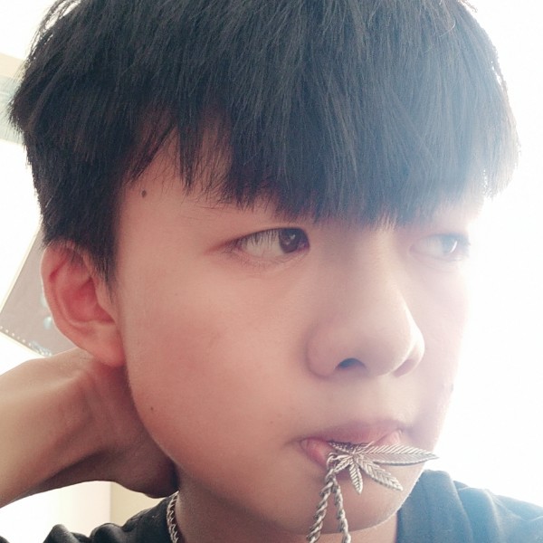 파다싱/的照片