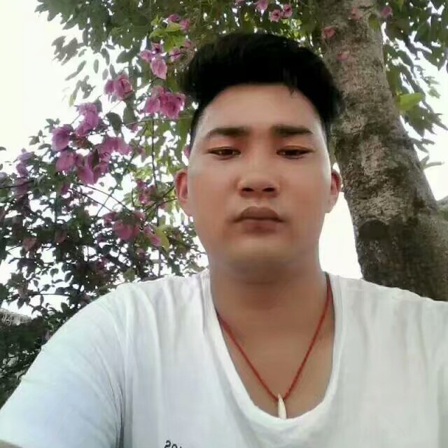 懵懂回首花瓣的照片