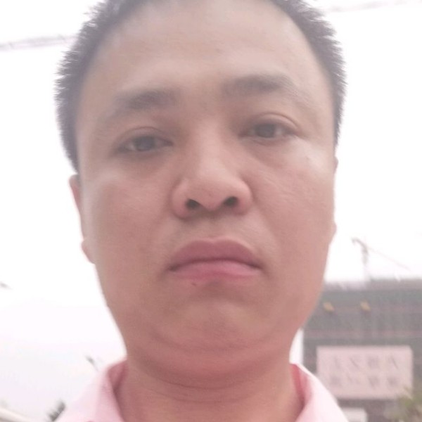 积极黄蜂周林的照片