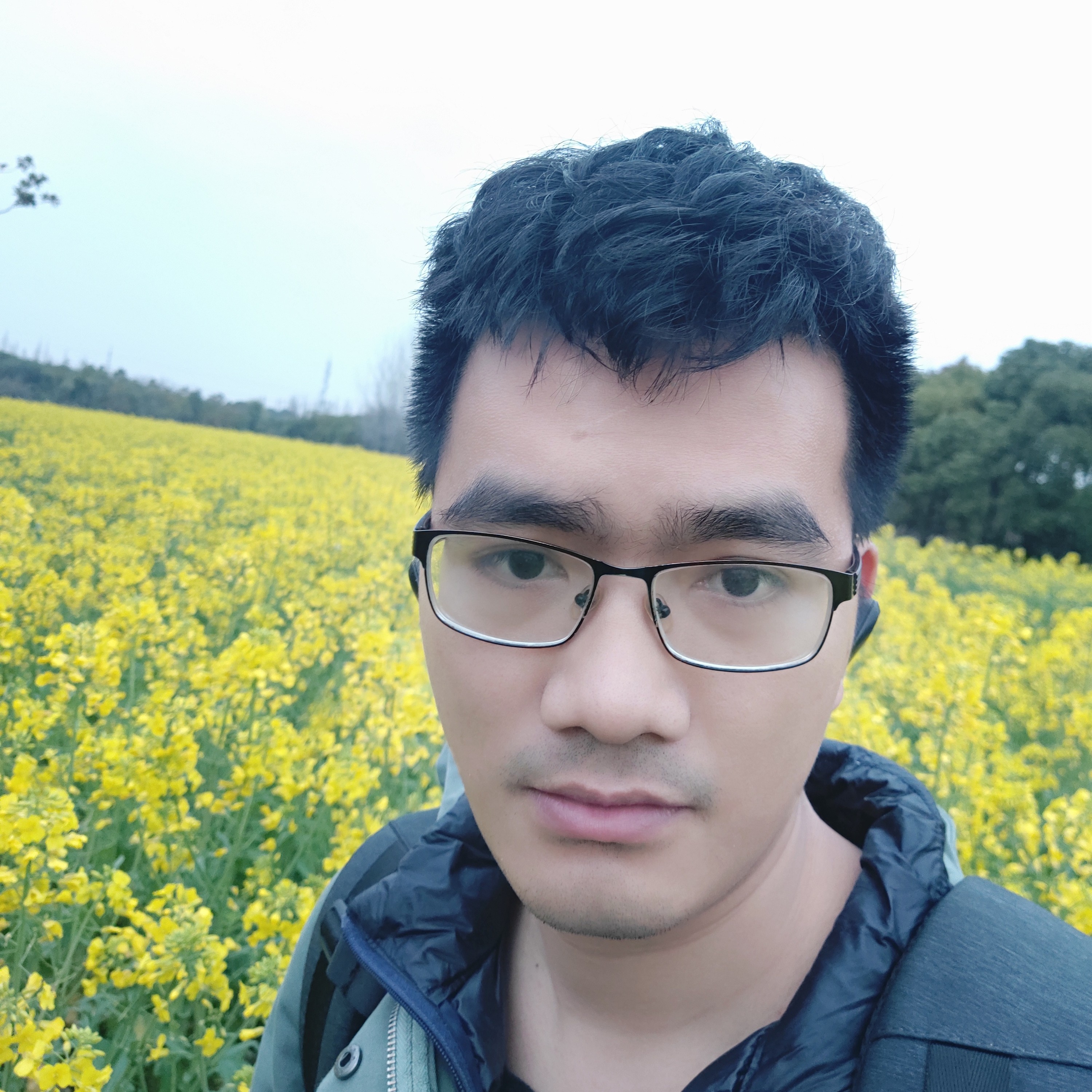 懵懂請冥王星的照片