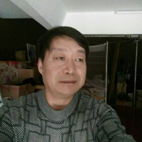太阳花面向太阳开的照片