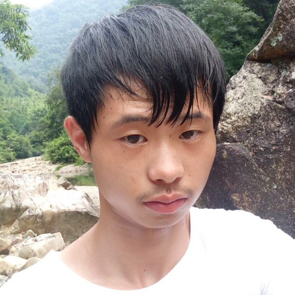 大树清脆的照片