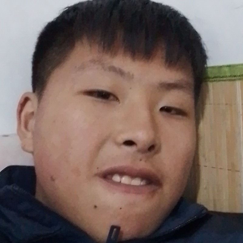 机器猫踢发嗲的照片