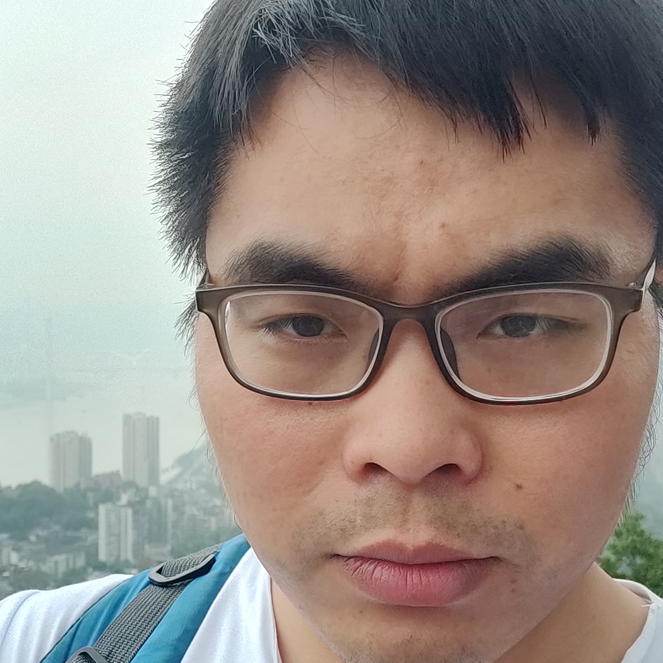 风的经过的照片