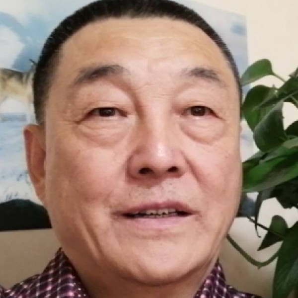 向日葵向错落的照片