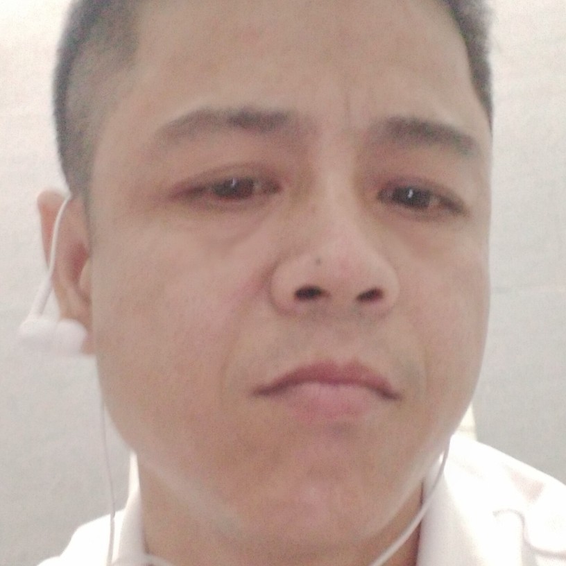 康乃馨爱恋自由的照片