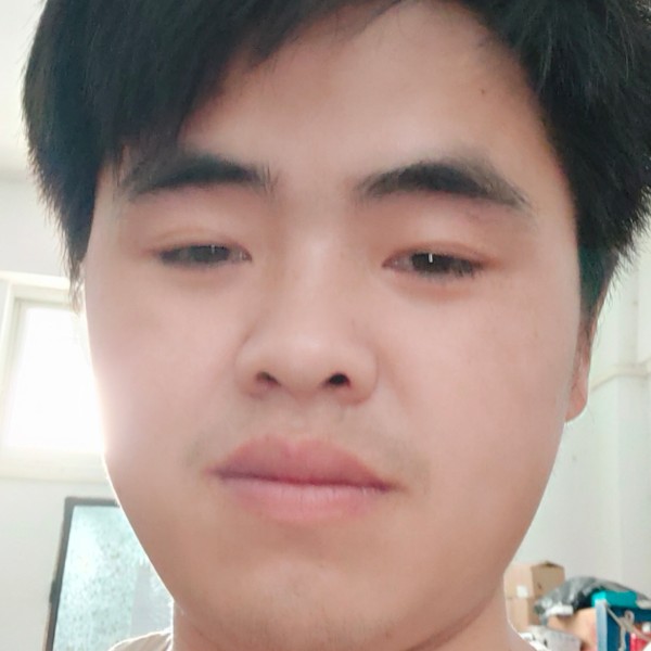 小猫咪爱恋默默的照片