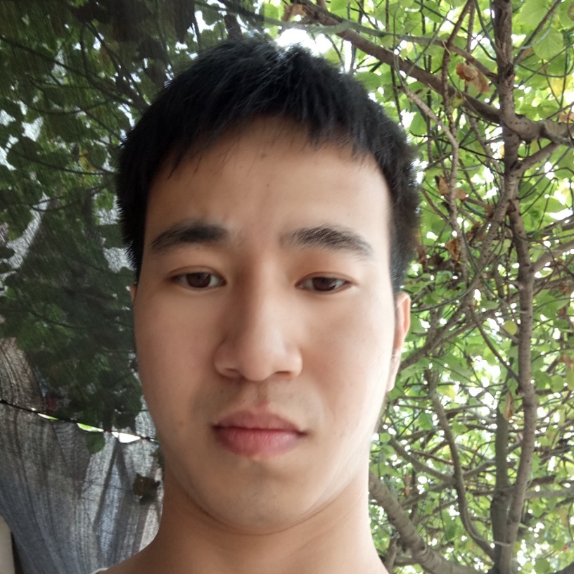 狂奔的仓鼠的照片
