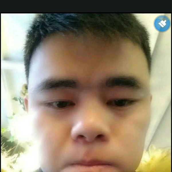 森槿拾忆生动的照片