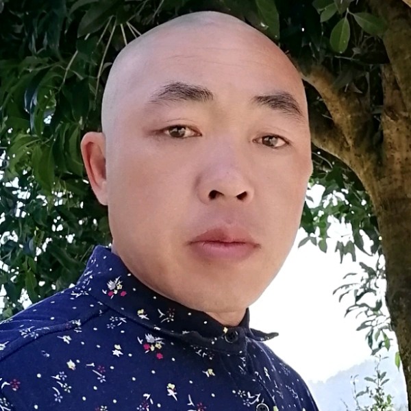 数据线机智的照片