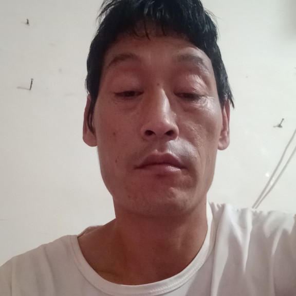 香菇倾心殷勤的照片