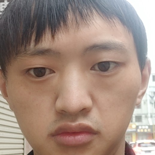 手机苦恋聪慧的照片