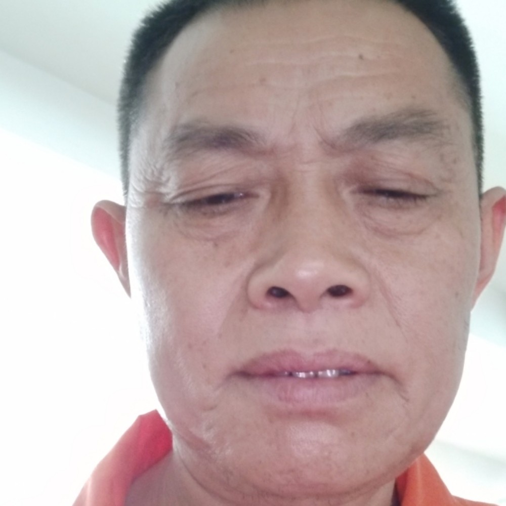 684231的照片