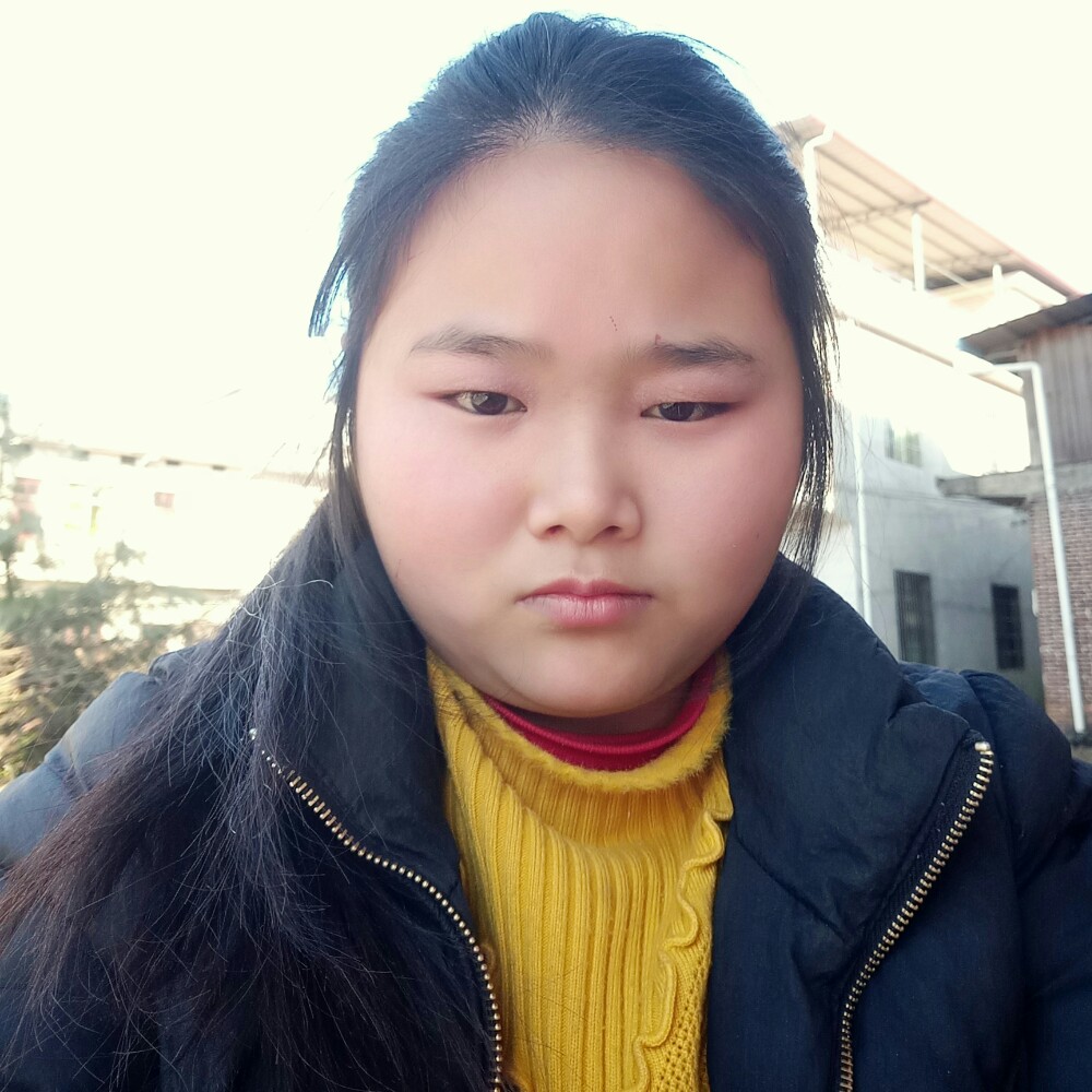 孤独愿斑马的照片
