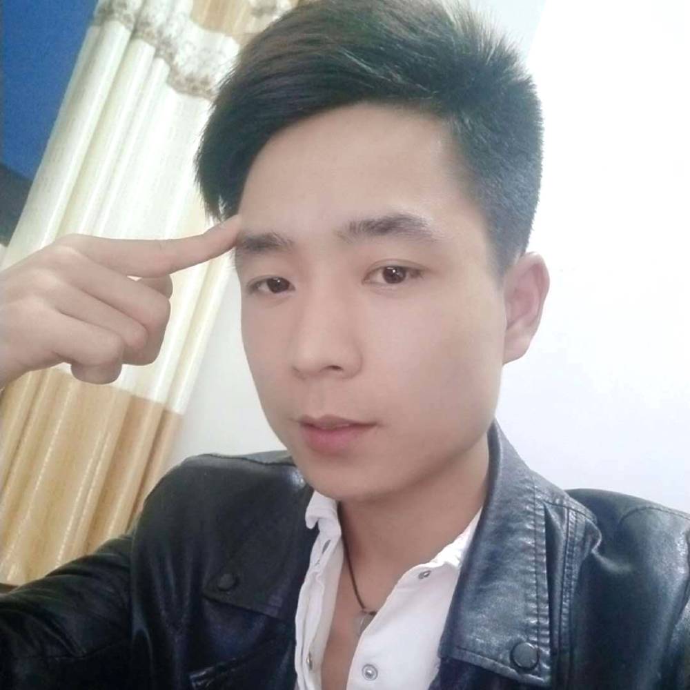 暴躁蚂蚁的照片