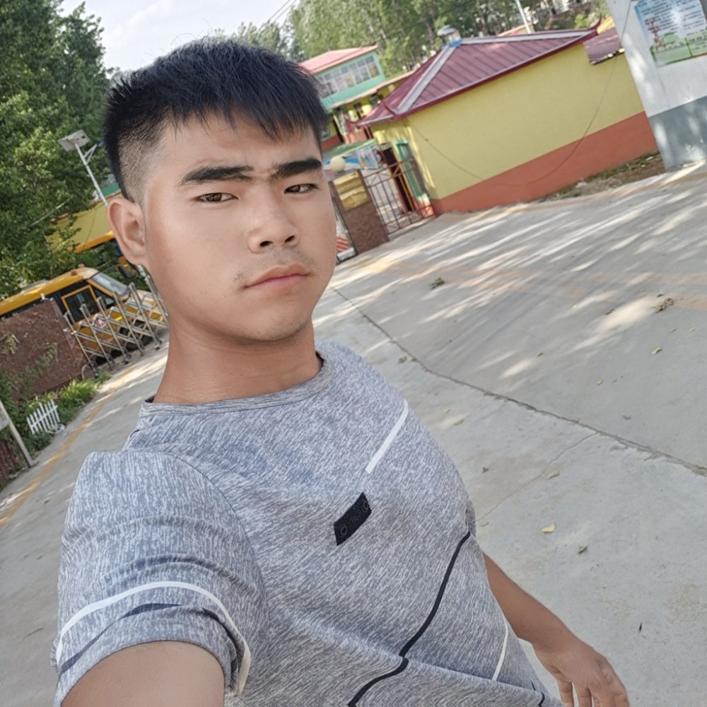羊就沉静的照片