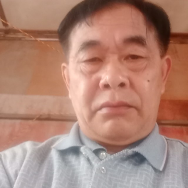 松木树的照片