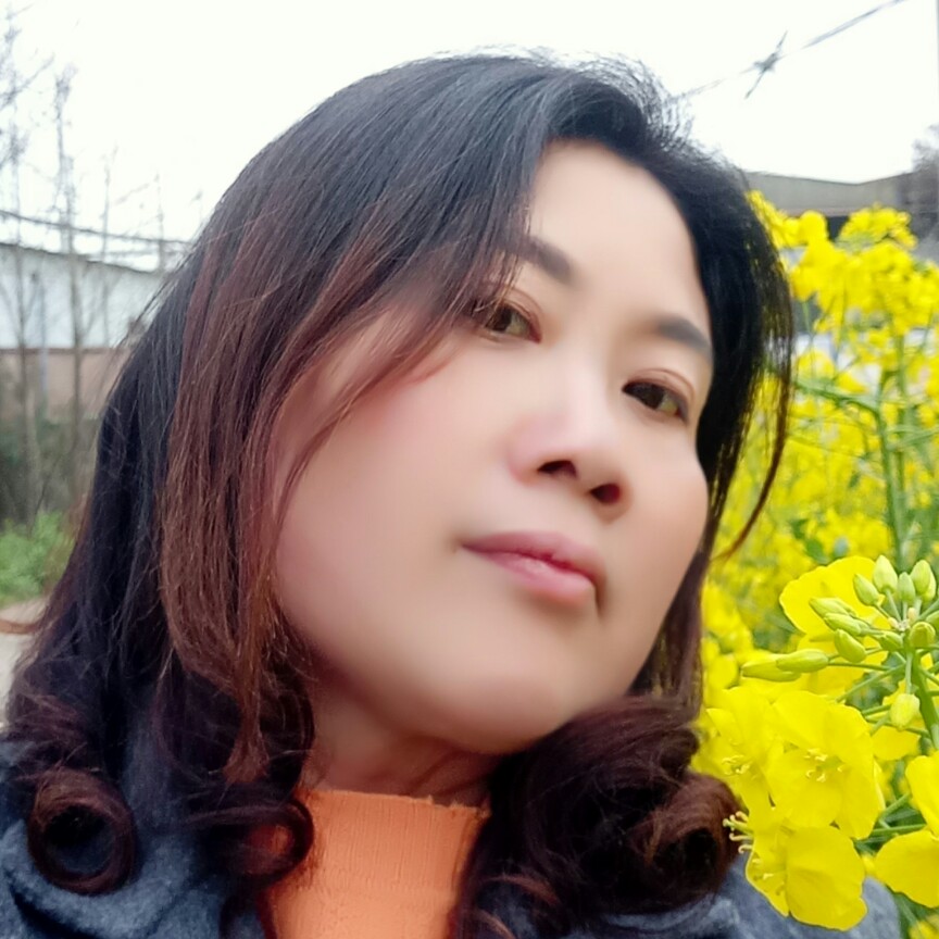 一支翅膀的照片