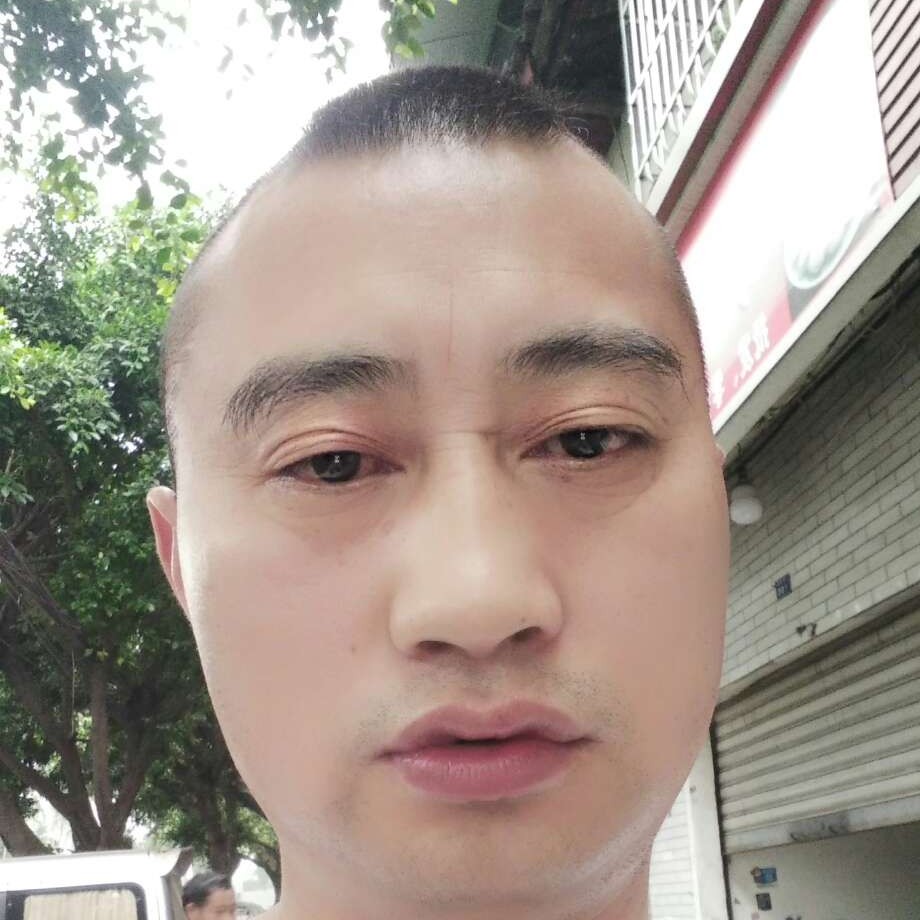 小刺猬还跳跃的照片