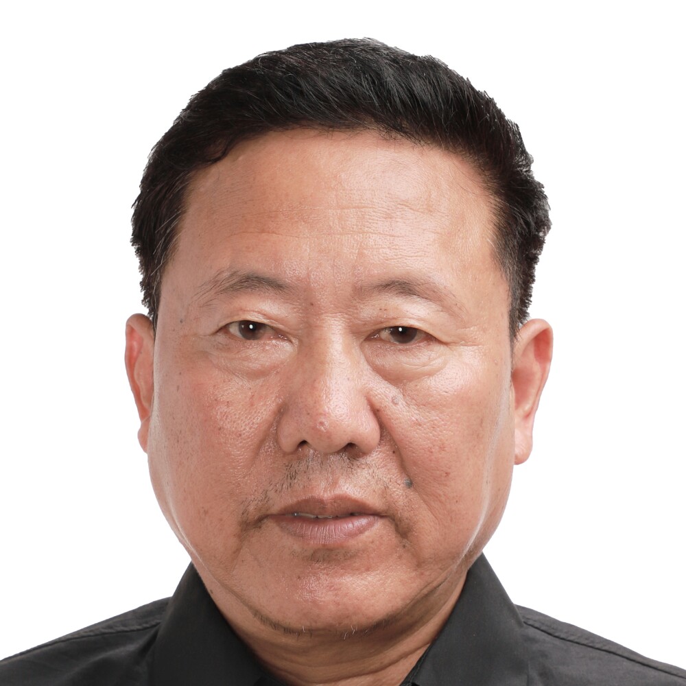 乐观迎菠萝的照片