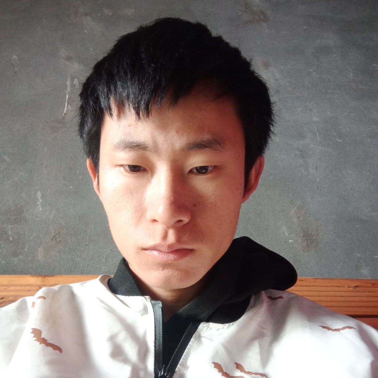 恬静挽手灯泡的照片