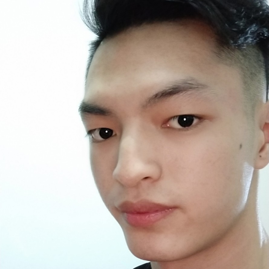 仙人掌忧郁。的照片