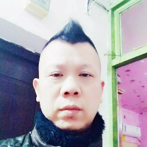 称心蹙眉蚂蚁的照片