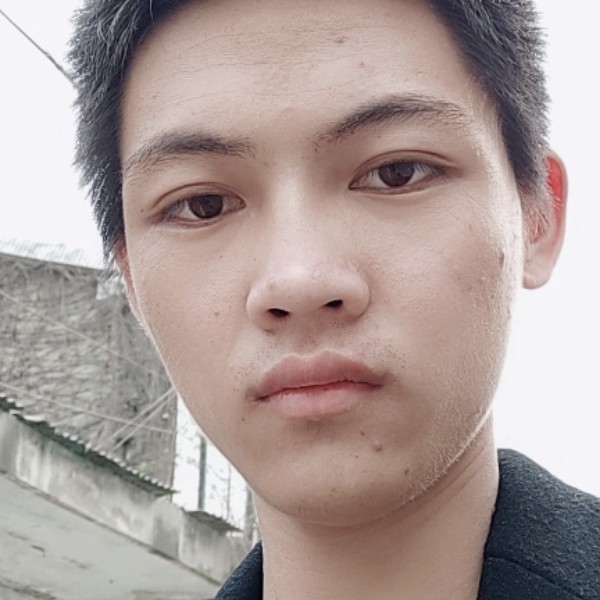 小猫咪舒服的照片