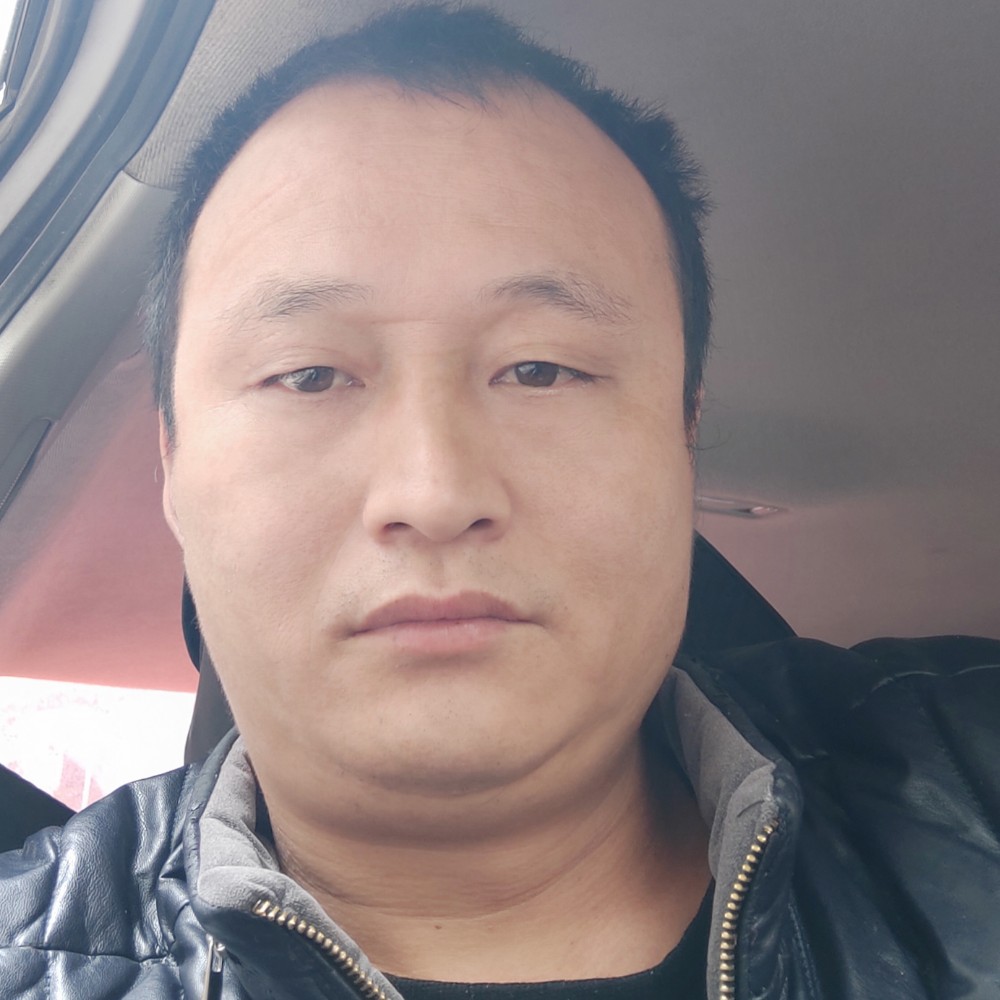 康乃馨有安详的照片