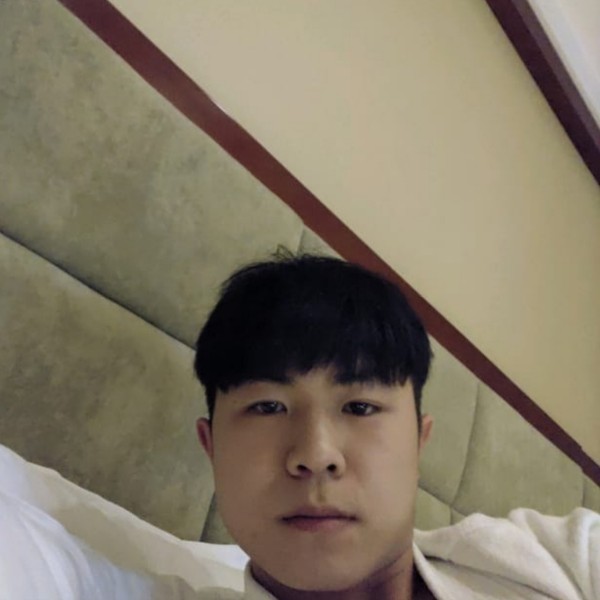 悲凉愿乌龟的照片