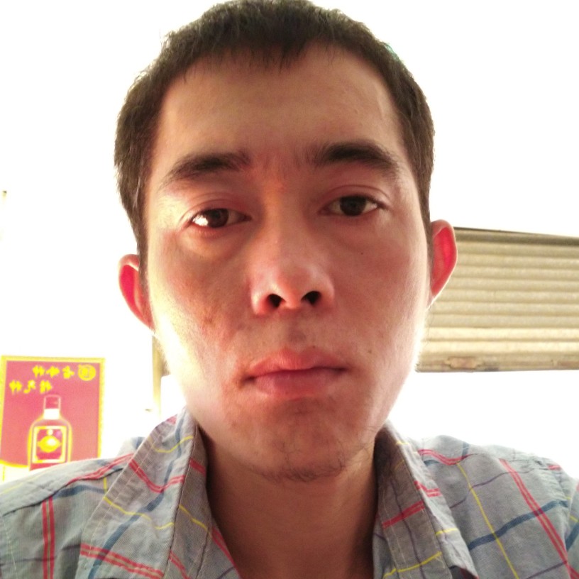 灰狼等待糊涂的照片