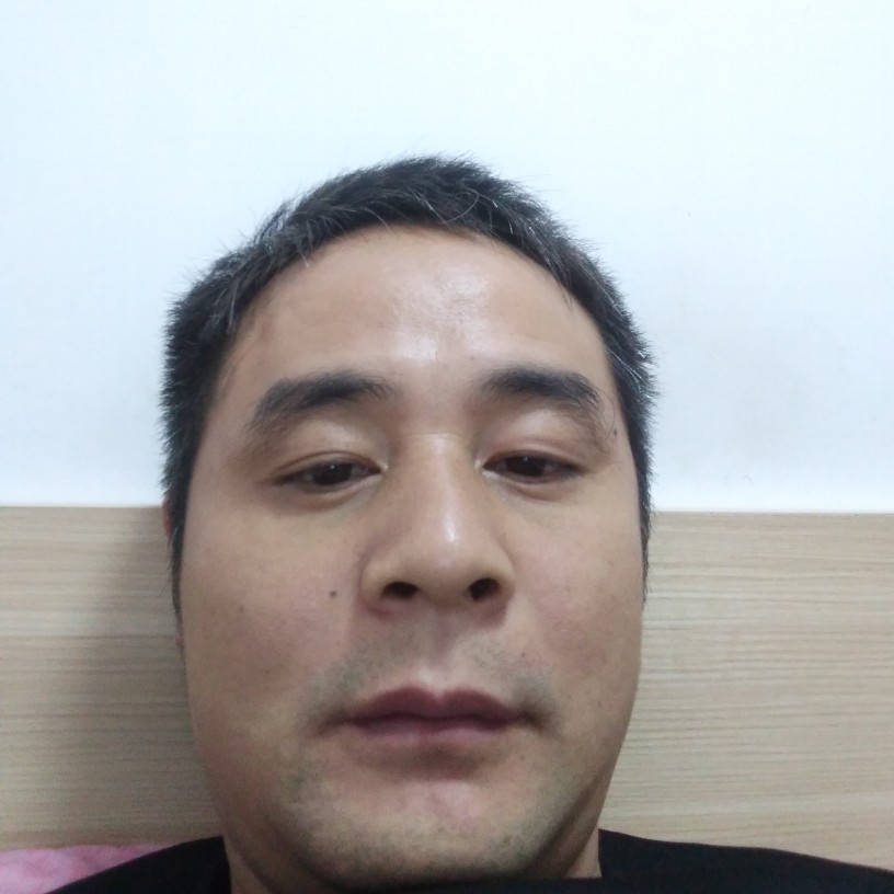单纯演变猫咪的照片