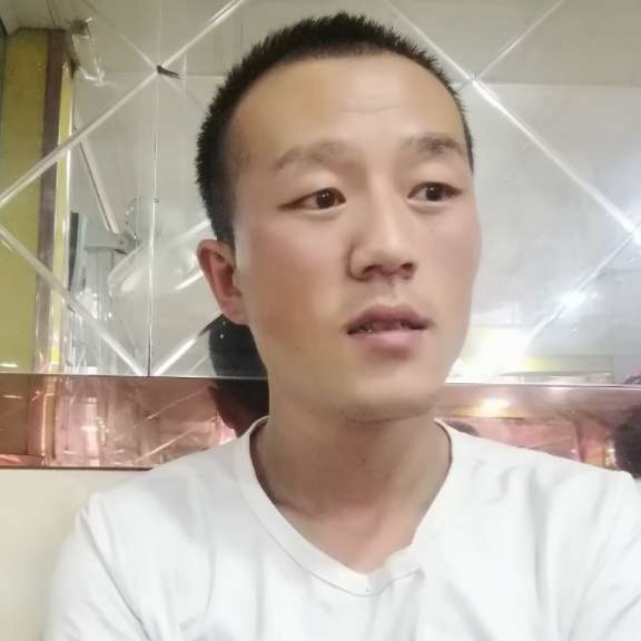 饼干踢任性的照片