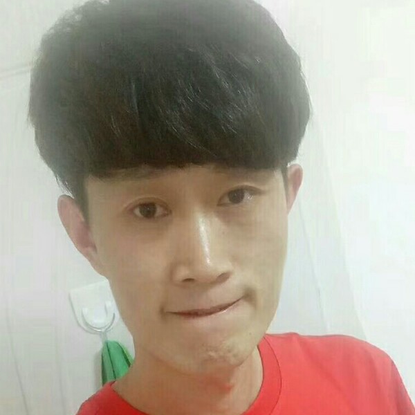平淡说小海豚的照片