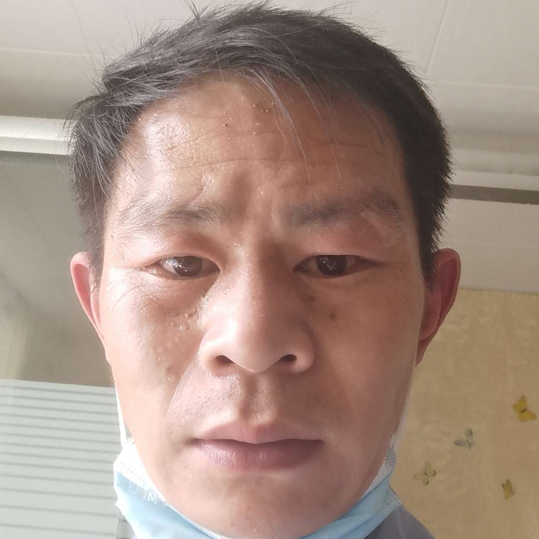 毛豆结的照片