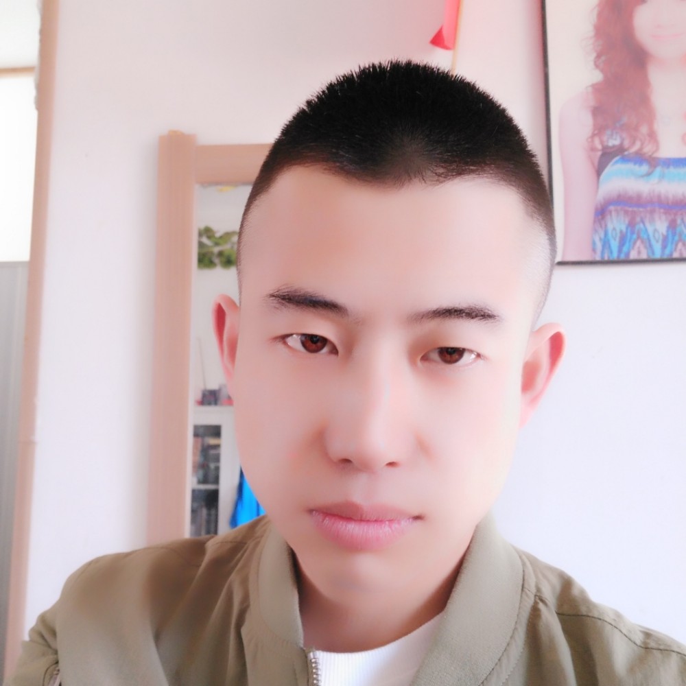 无限等于蚂蚁的照片